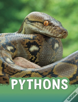 Capa do artigo Pythons