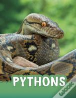 Pythons
