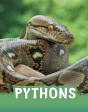 Pythons - Preview