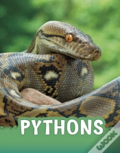 Capa do artigo Pythons