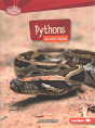 Pythons On The Hunt - Preview