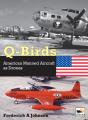 Q-Birds - Preview
