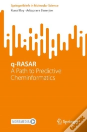 Capa do artigo Q-Rasar