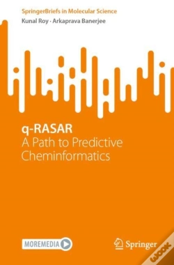 Capa do artigo Q-Rasar