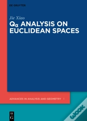 Capa do artigo Qa Analysis On Euclidean Spaces