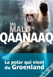 Capa do artigo Qaanaaq