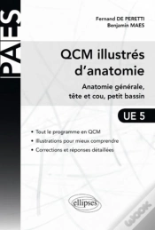 Capa do artigo Qcm Illustrés D