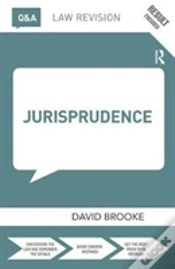 Capa do artigo Q&A Jurisprudence