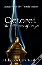 Capa do artigo Qetoret
