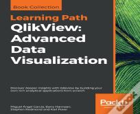 Qlikview: Advanced Data Visualization