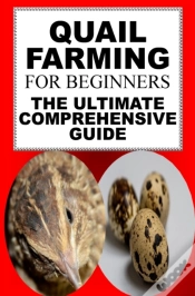 Capa do artigo Quail Farming For Beginners
