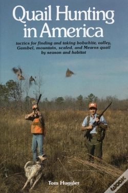 Capa do artigo Quail Hunting In America
