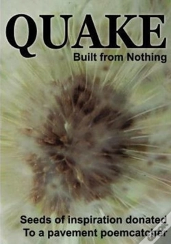 Capa do artigo Quake