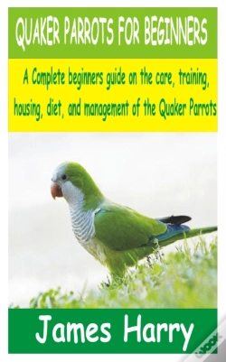 Capa do artigo Quaker Parrots For Beginners
