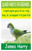 Quaker Parrots For Beginners