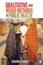 Qualitative And Mixed Methods In Public Health - Preview
