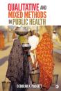 Qualitative And Mixed Methods In Public Health - Preview