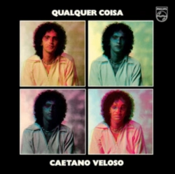 Capa do artigo Qualquer Coisa - Vinil