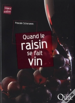 Capa do artigo Quand Le Raisin Se Fait Vin