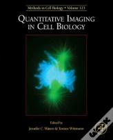 Quantitative Imaging In Cell Biology