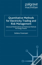 Quantitative Methods For Electricity Trading And Risk Management