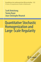 Quantitative Stochastic Homogenization And Large-Scale Regularity