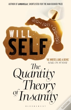 Capa do artigo Quantity Theory Of Insanity