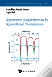 Capa do artigo Quantum Capacitance In Quantized Transistors