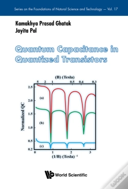 Capa do artigo Quantum Capacitance In Quantized Transistors