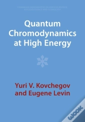 Quantum Chromodynamics At High Energy