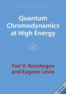 Capa do artigo Quantum Chromodynamics At High Energy