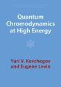 Quantum Chromodynamics At High Energy - Preview