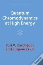 Quantum Chromodynamics At High Energy