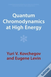 Capa do artigo Quantum Chromodynamics At High Energy