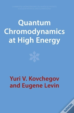 Capa do artigo Quantum Chromodynamics At High Energy