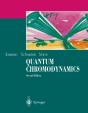 Quantum Chromodynamics - Preview