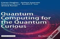 Quantum Computing For The Quantum Curious
