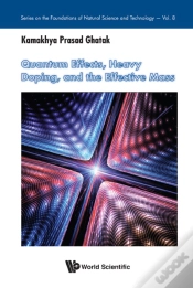 Capa do artigo Quantum Effects, Heavy Doping, And The Effective Mass