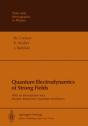 Quantum Electrodynamics Of Strong Fields - Preview