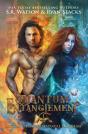 Quantum Entanglement - Preview