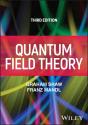 Quantum Field Theory - Preview