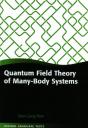 Quantum Field Theory Of Many-Body Systems - Preview