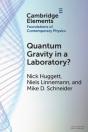 Quantum Gravity In A Laboratory? - Preview