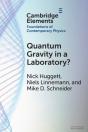 Quantum Gravity In A Laboratory? - Preview