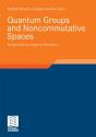 Quantum Groups And Noncommutative Spaces - Preview