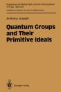 Quantum Groups And Their Primitive Ideals - Preview