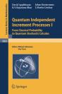 Quantum Independent Increment Processes I - Preview