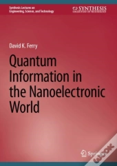 Quantum Information In The Nanoelectronic World
