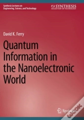 Quantum Information In The Nanoelectronic World