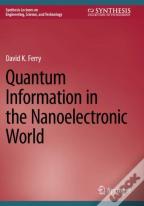 Quantum Information In The Nanoelectronic World